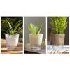 Flowerpot with Open Water Pour Port Easy Maintenance Self-Absorbing Double-Layer Water System Thickened Transparent Water Storage