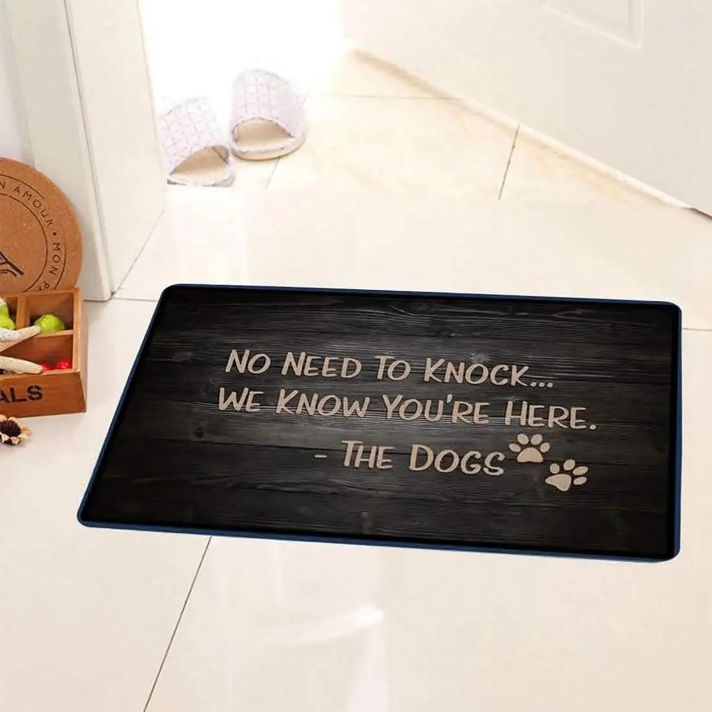 Funny Welcome Mats There Is No Reason for You To Be Here Mat for Entrance Indoor and Outdoor Mats Anti-Slip Novelty Gift Mat