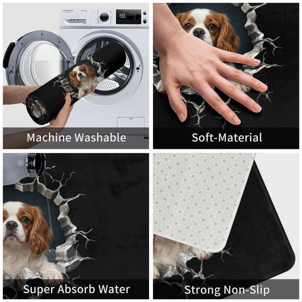 Cavalier King Charles Spaniel Wall Breaker Design Zerbino Antiscivolo Tappeto per Bagno Cucina Tappeto per Pavimento Ingresso Porta WC