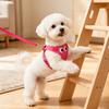 Köpek – Köpek Tasmaları ve Tasma Kayışları