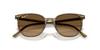 sunglasses 0RB2197F ELLIOT STRIPED GREEN POLAR BROWN GRADIENT 54mm Asian Fit Polarized Ray-Ban