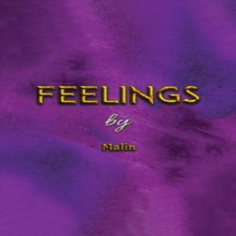 Feelings by Malin . Hardback Book 9781035844623