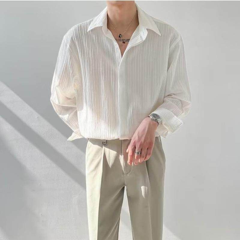 Textured Top, Korean Style Loose Casual Long-Sleeved Shirt, Men's Trendy and Handsome Striped No-Iron Shirt for Autumn