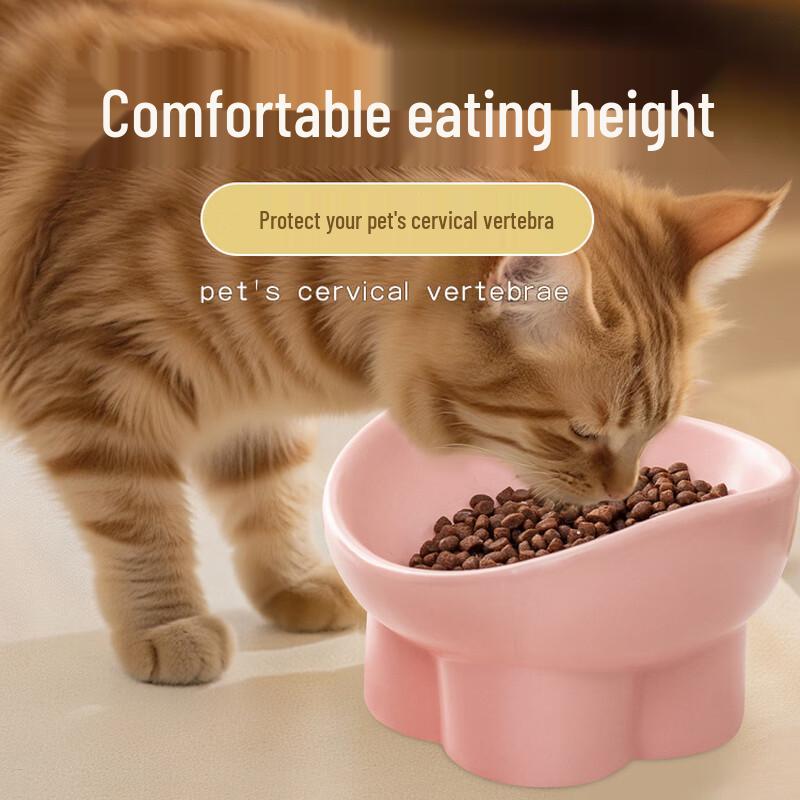 Changbaosen Ceramic Elevated Slanted Pet Bowl