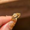 Korean Style Zircon Pearl Flower Ring for Women - Light Luxury Fashion Index Finger Accessory
