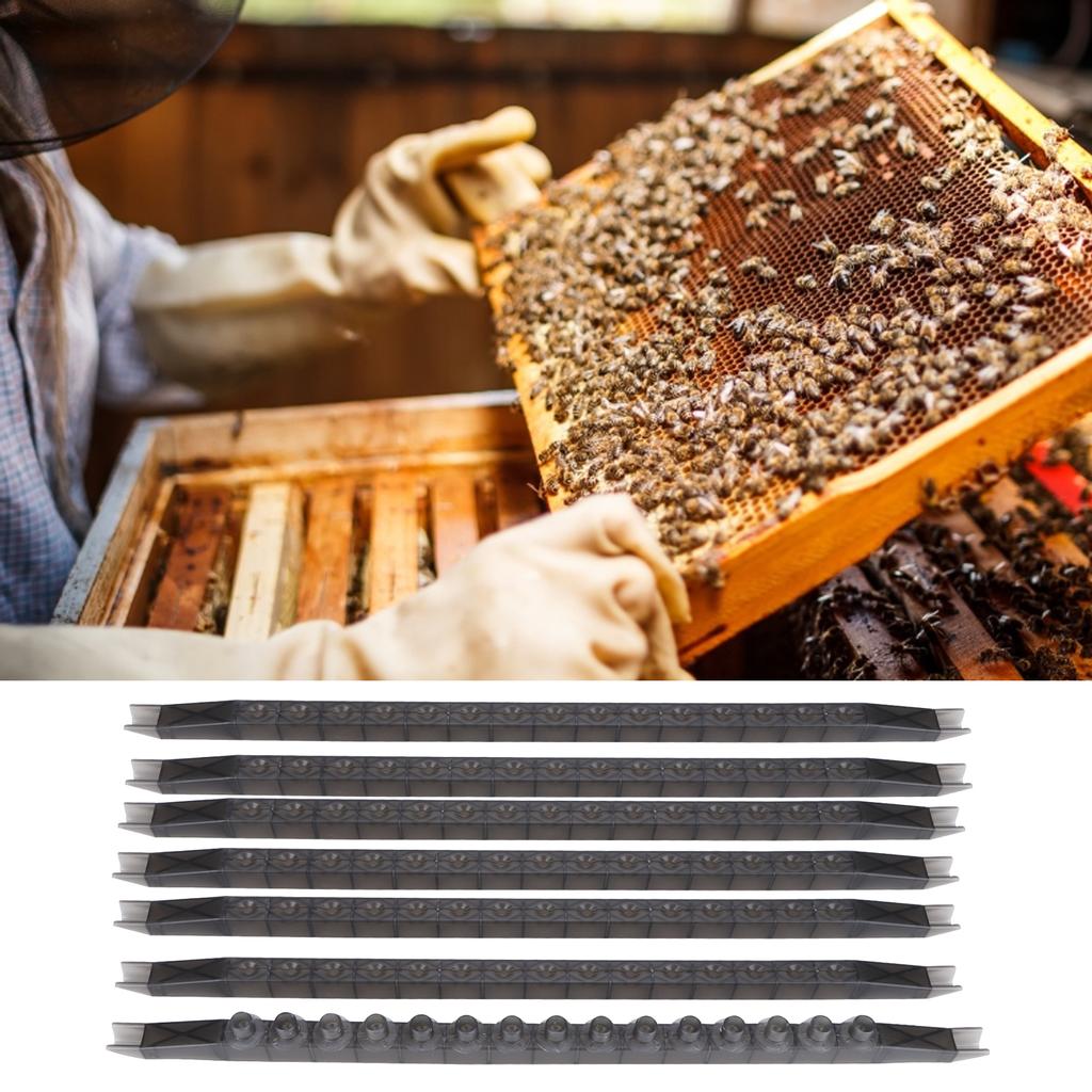 Queen Bee Cell Cups Kit with Frames Plastic Rearing Cage Box Beekeeping Equipments Tools