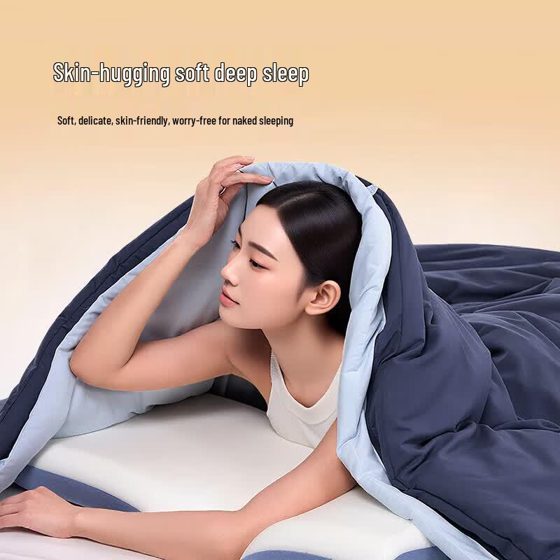 ZiiU All-Season Premium Fiber Quilt