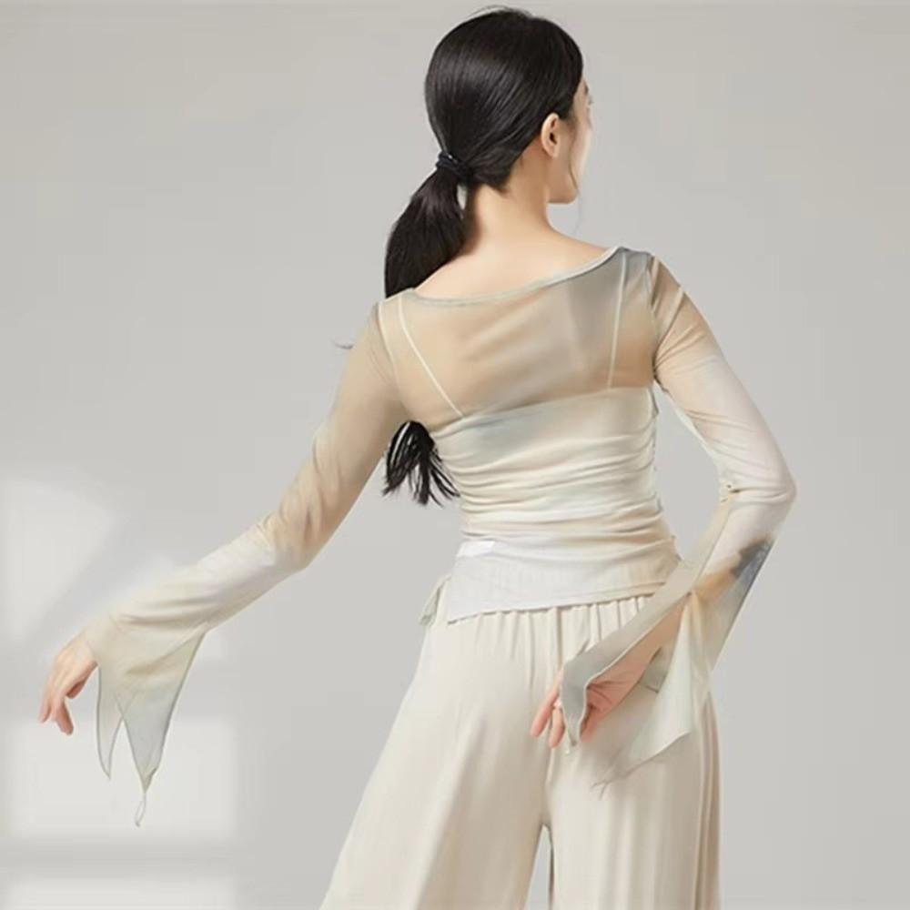 Long Slit Classical Dance Mesh Top Prints Chinese Hanfu  Women Dance Wear