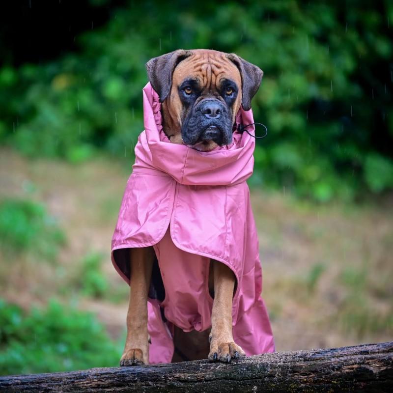 Waterproof Pet Raincoat Dogs - Hooded Cape Style Outdoor Rainwear Golden Retriever Labradors In S To XXXXL