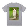 Cat Owl Funny Meowl Meme Brainrot T-shirts Men's Women Clothing Fashion Harajuku Short Sleeves T-shirt Cotton Oversized T Shirts