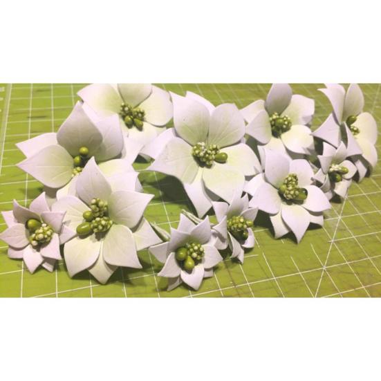 Flower Metal Cutting Dies DIY Scrapbooking Embossing Paper Cards Craft Stencil