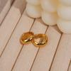 Women’s High-End Metallic Gloss Hoop Earrings, Luxurious Niche Design, 2024 Trendy Ear Hoops
