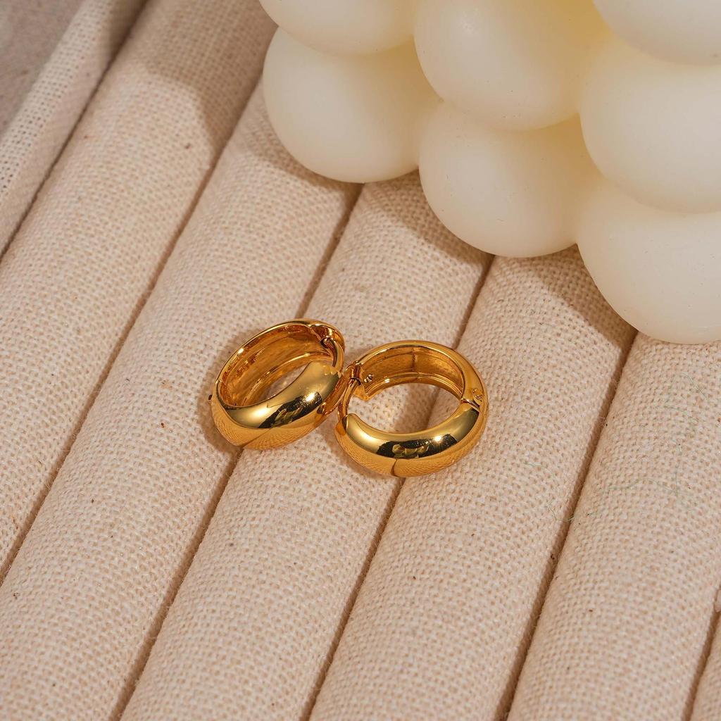 Women’s High-End Metallic Gloss Hoop Earrings, Luxurious Niche Design, 2024 Trendy Ear Hoops