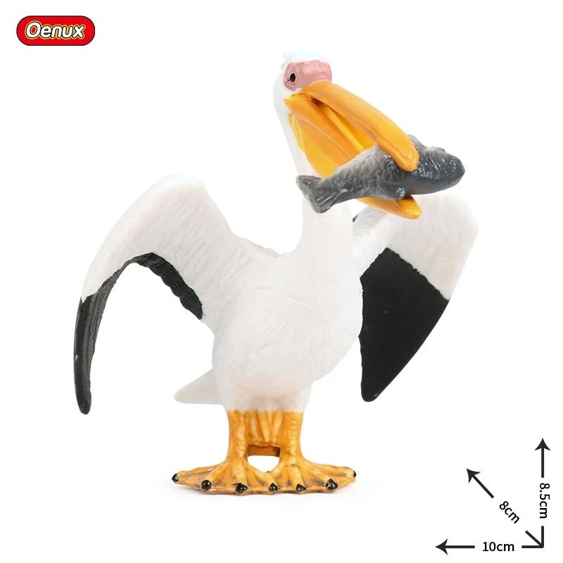 Oenux Classic Australian Wild Animals Kangaroos Koala Platypus Tasmanian Devil Echidna  Cassowary Model Figurine Toy Kid Gift