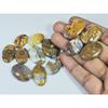 276Cts. Natural Forest Agate Oval Cabochon Loose Gemstone 13 Pcs Lot C-1956