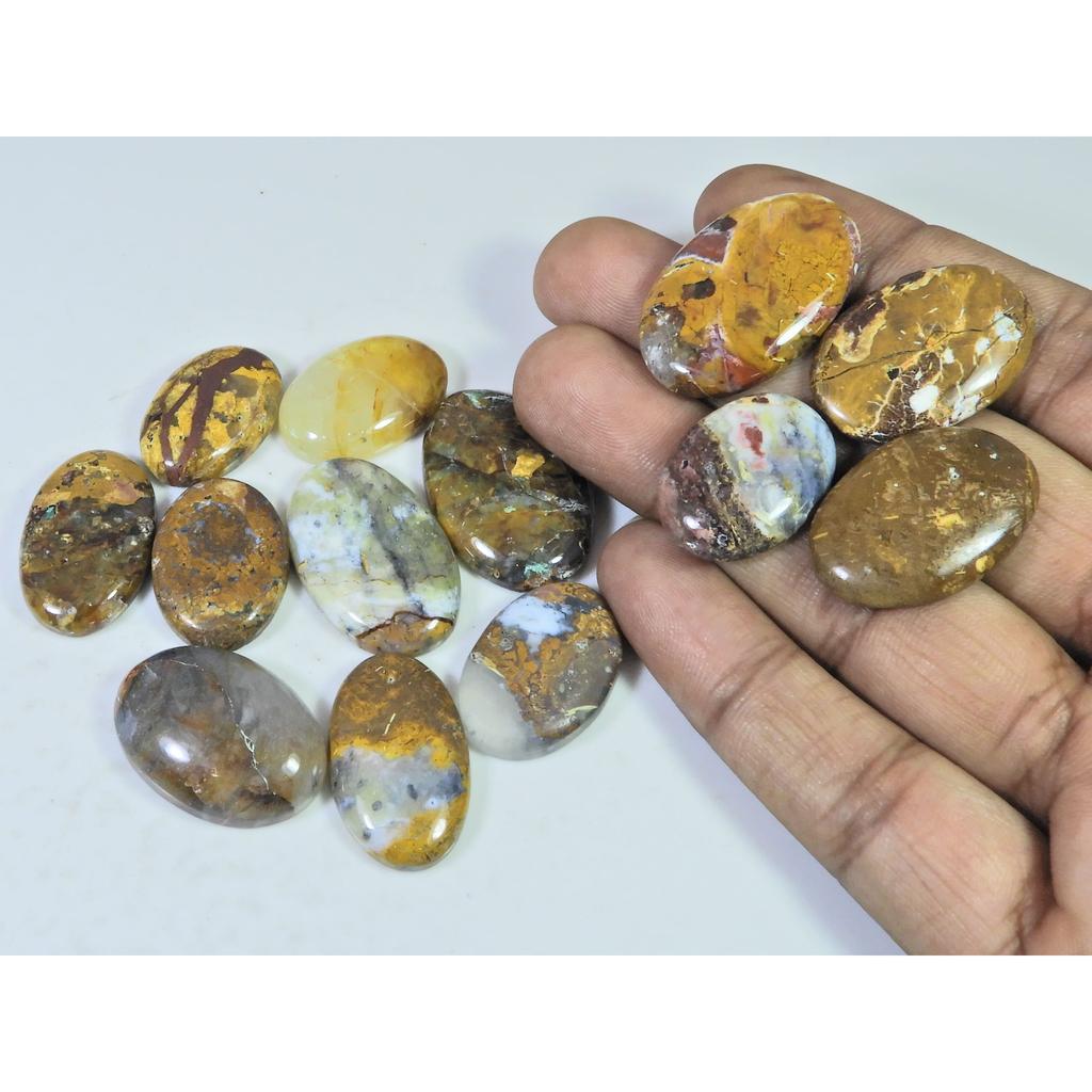 276Cts. Natural Forest Agate Oval Cabochon Loose Gemstone 13 Pcs Lot C-1956