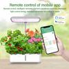 Yieryi Smart WiFi Hydroponics Growing System Indoor Garden Kit With LED Grow Light For Herbs Vegetables Flowers