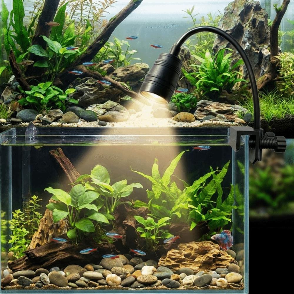Variable Focus Fish Tank Clip Lamp Aluminum Zinc Zinc Alloy Aquarium Viewing Light South American Fish Tank