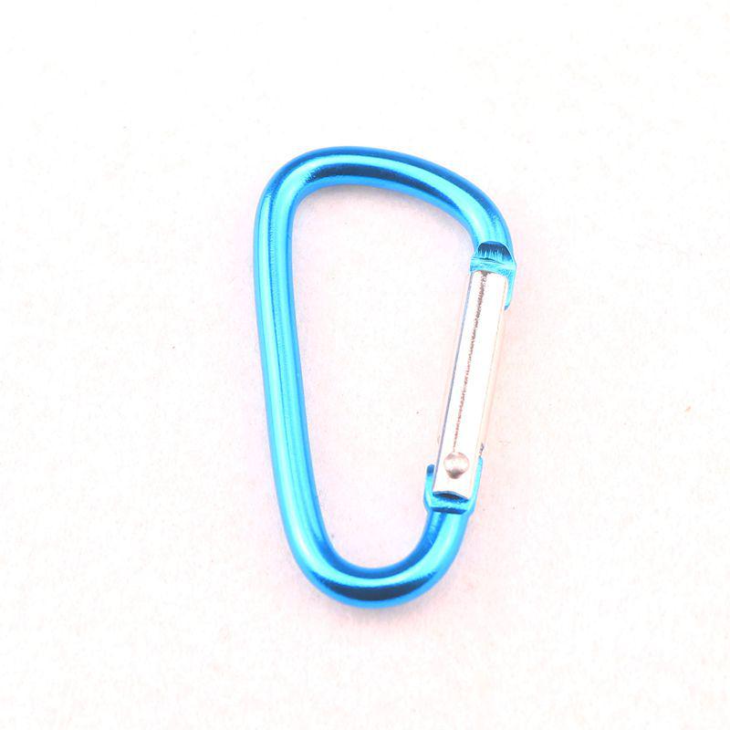 D-Shaped Aluminum Alloy Carabiner Hook: Hand Sanitizer, Water Bottle, Clothing, & Keychain Accessory