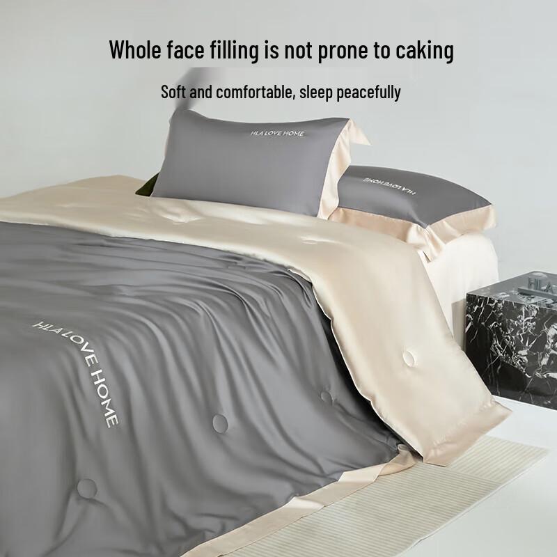 Hla Home Ice Silk Washable Summer Quilt