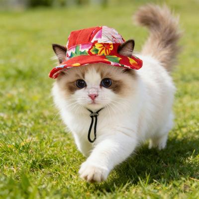 Yousheng Pet Sun Hat Breathable Small Dogs Cats Bucket Hat with Ear Holes Adjustable Drawstring Sun UV Protection Pet Decorative