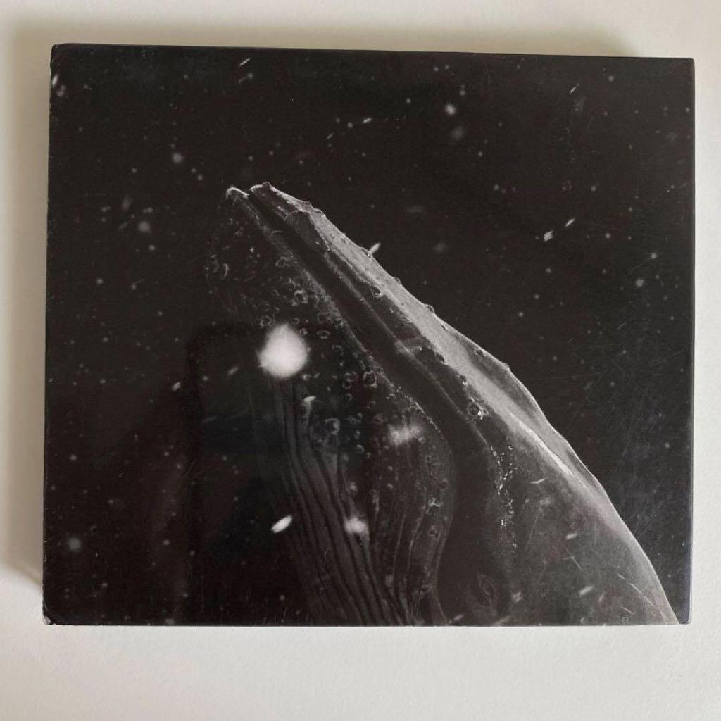 [USED] Sing For You (Korean Version) EXO Lay