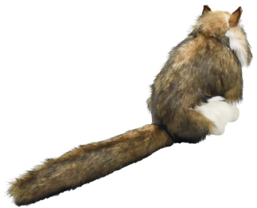 BH8154 HANSA Norwegian Forest Cat 35