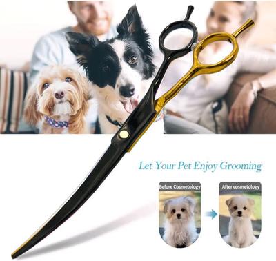 Köpek – Köpek bakım ürünleri