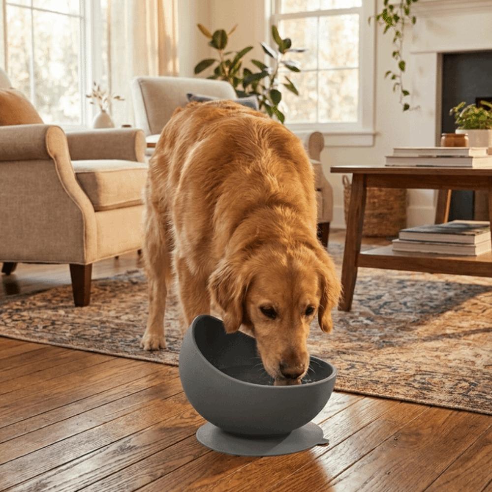 Suction Cups Silicone Pet Bowl Neck Protection Elevated Feeder Portable Dog Food Bowl Pet Dining