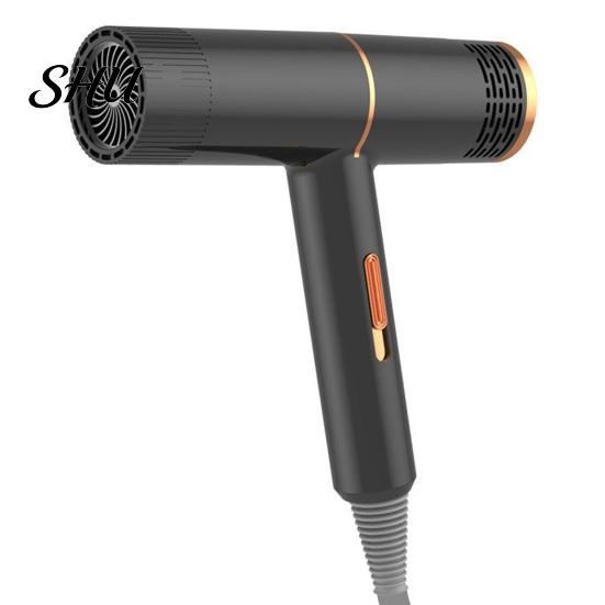 Salon-quality Hair Care Technology Dryer Household with 800W High-Power Blue Light Negative Ion Blow Double Collagen And Protection Women Men for Mute