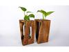 Hydroponic Test Tube Glass Vase: Creative 3D Ornament for Living Room Flower Arrangements - Simple Desktop Decoration