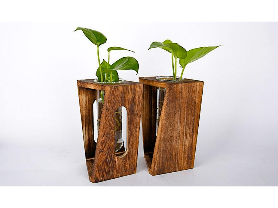 Hydroponic Test Tube Glass Vase: Creative 3D Ornament for Living Room Flower Arrangements - Simple Desktop Decoration