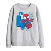 Tops (For Boys Over 4) – Hoodies & Sweatshirts