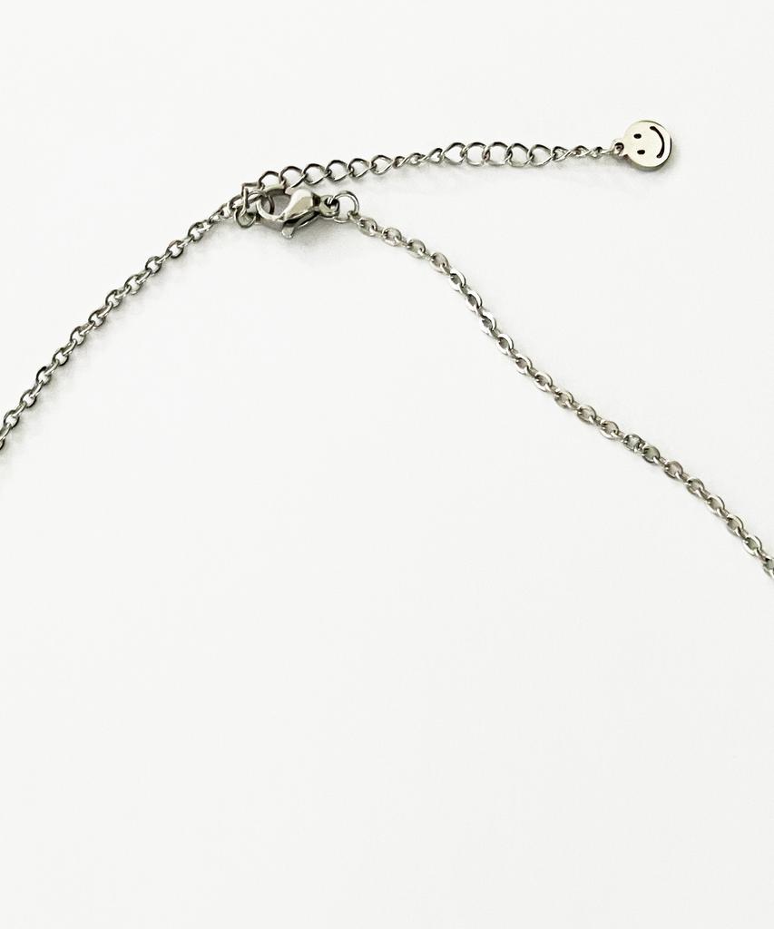 Sk8Er Rock Tooth Surgical Steel Necklace ((Steel))