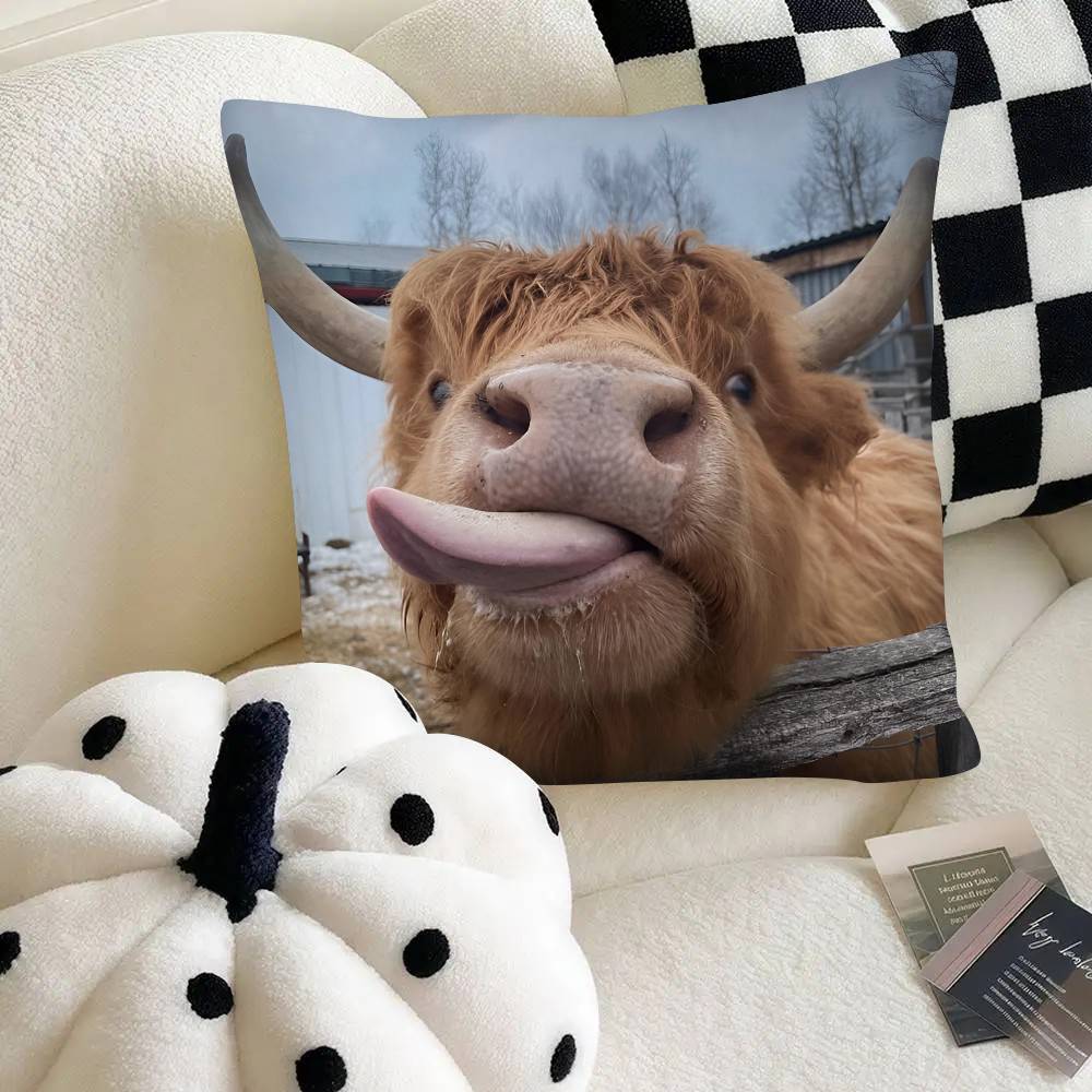 Highland Cattle Pillow Case Fashion Square Pillowcase Bedroom Sofa Room Ins Decoration Leisure