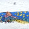 Vintage 90s HAWAII CORAL BEACH DOUBLE-SIDED T-Shirt LARGE Soft