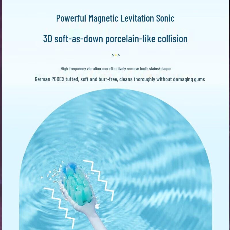 Panasonic EW-DC01 Inverter Sonic Electric Toothbrush