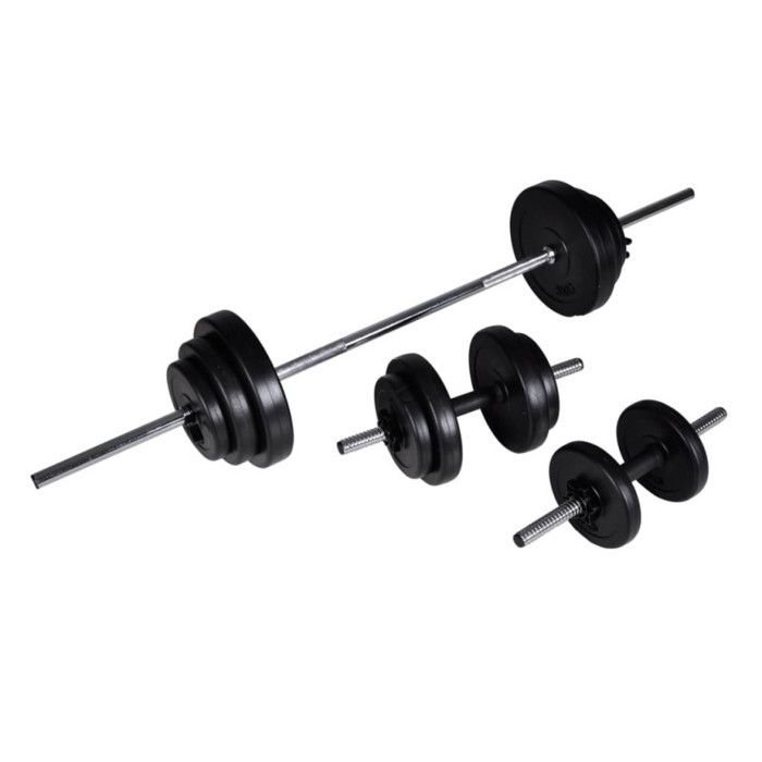 VidaXL 2x Haltère 30,5 kg Fitness Exercice Musculation Poids Entraînement 90377