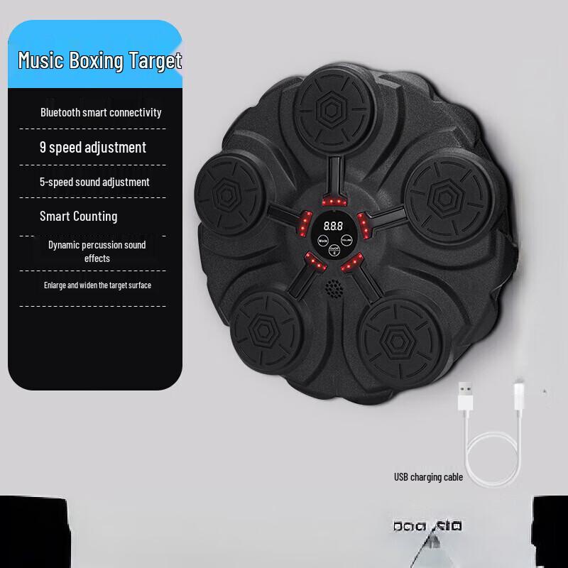 Smart Music Boxing Wall Target