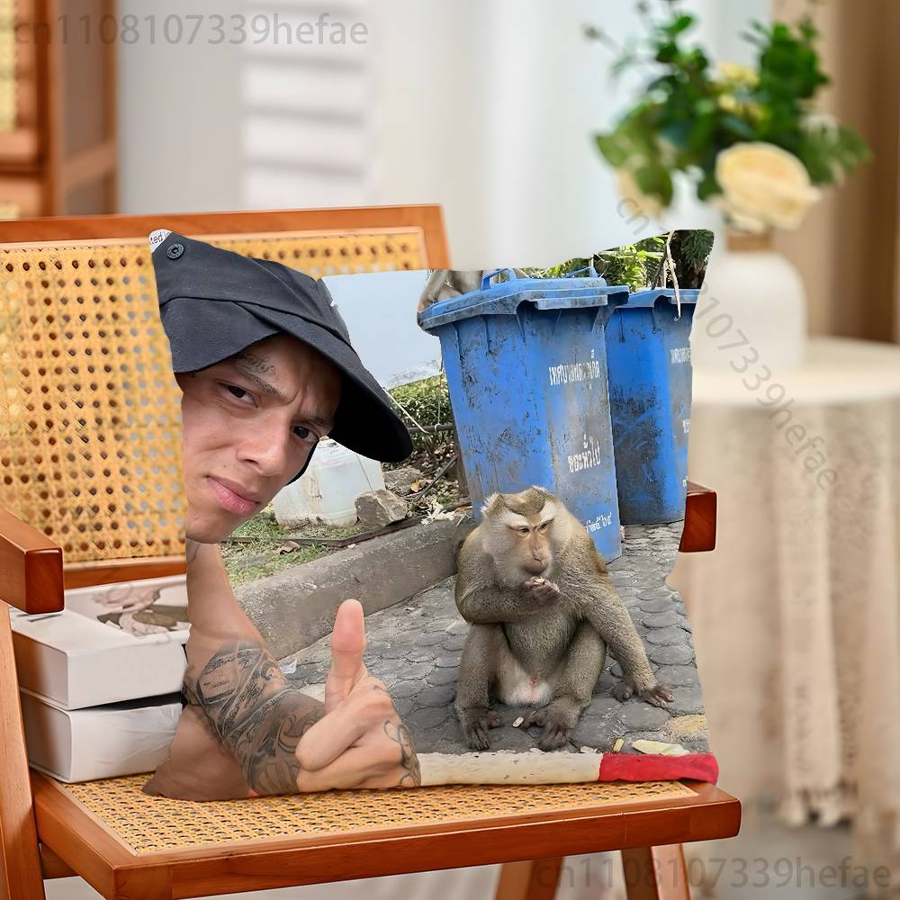 

Rapper CCentral CCee Throw Pillow Case For 45x45cm55x55cm30x30cm For Home Bedroom Decoration And Protector 30x30cm
