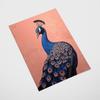Peacock Poster Pink Colors