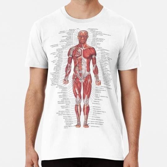 Muscular System Of the Human Body S to 5XL Made in USA T-Shirt 3XL