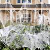 1 Set, 60 Soft Spider Webs Halloween Decorations with 6 Fake Spiders, Super Stretch Cobwebs for Halloween Indoor Outdoor