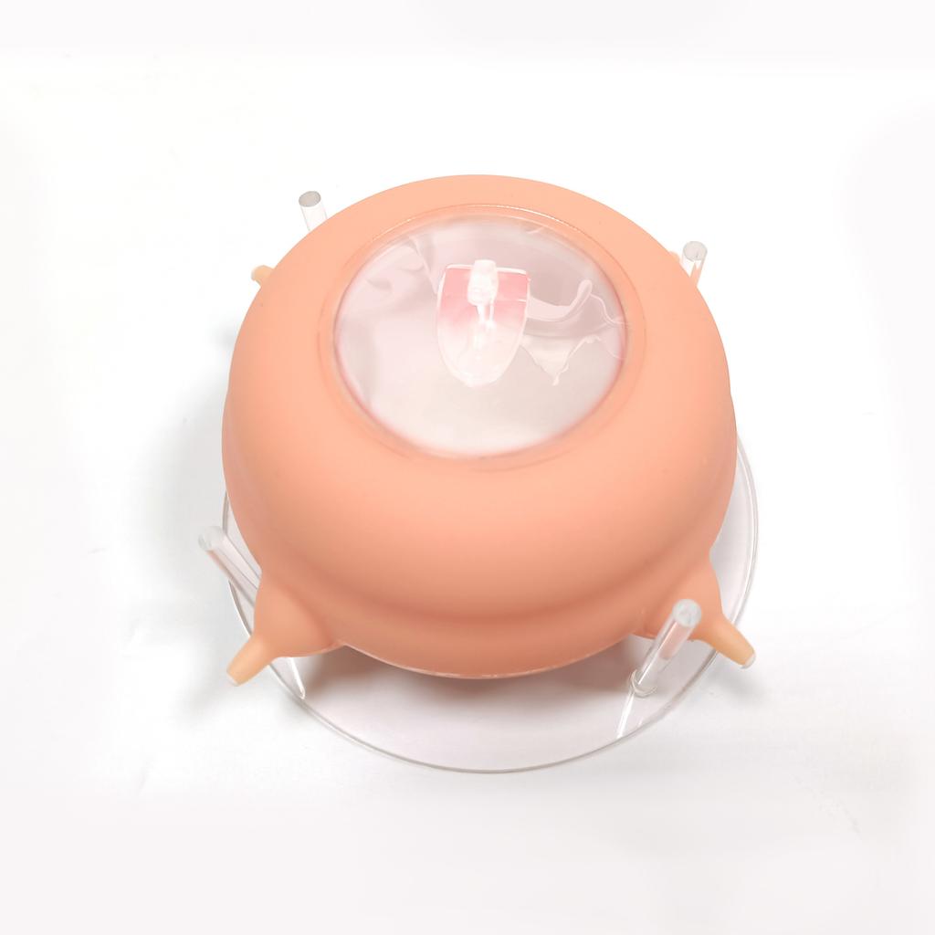 Newborn Kitten Milk Feeder 200ML Bionic Silicone Cat Puppy Bottle Drinker 3  4 Nipples Multiple Kittens Breastfeeding Milk Bowl