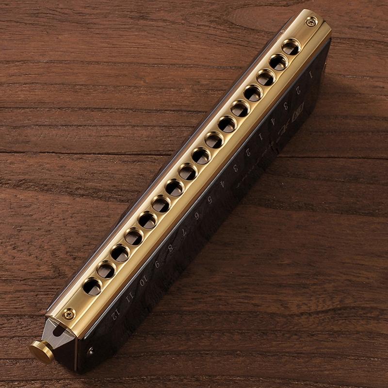12 Holes Blues Harp Diatonic Harmonica 48 Tones Mouth Organ Harmonica For Adults