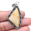 Pendant Fossil Coral Gemstone Handicraft Valentine'Day Silver Jewelry 2.25"