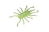 Jackall Soft Lure RV Bug 1.5 Inches Sight Chart Chile Pepper (0114)