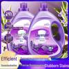 Lavender Low-Foam Laundry Detergent - Large, Economical Bottle with Long-Lasting Fragrance for Home Stain Removal.