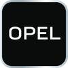 Opel car clip set, 300 pieces