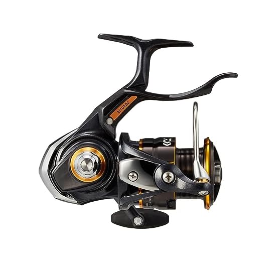 DAIWA Lever Brake Reel for Shore Fishing 23 LAXUS 2500H-LBD